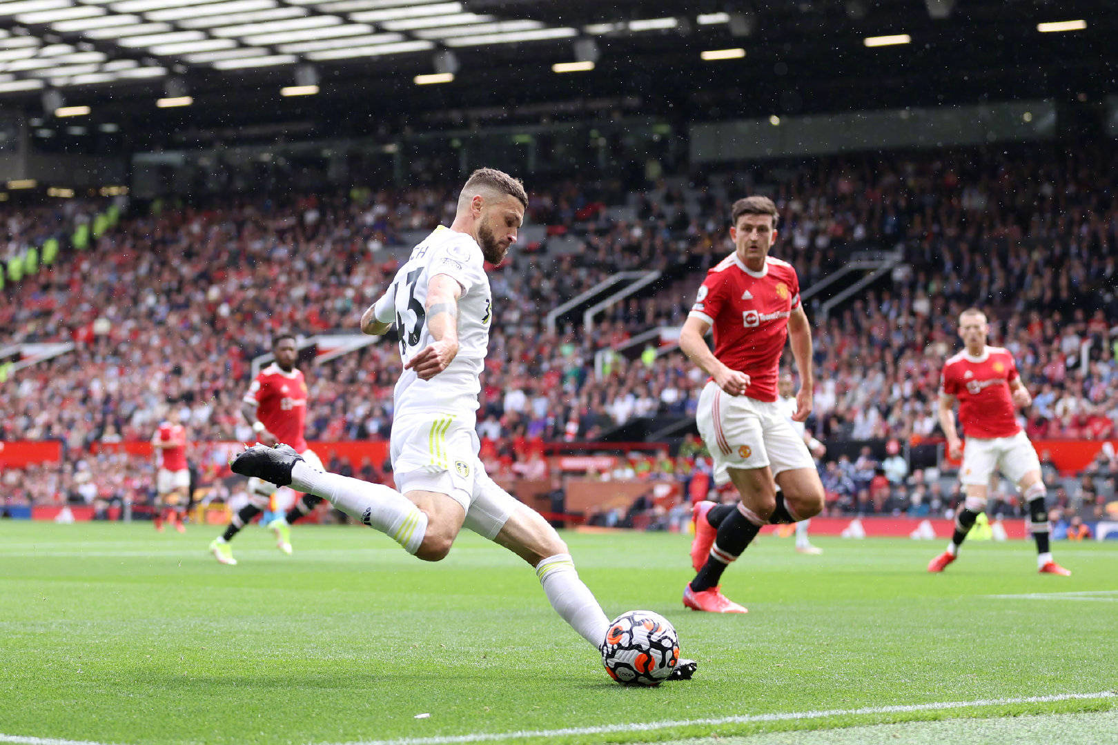 以及顽强的 以及顽强的